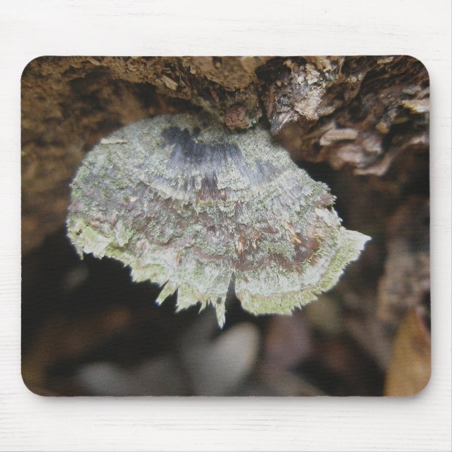Rainbow Shelf Fungus Mousepad Musmatta (Framsidan)