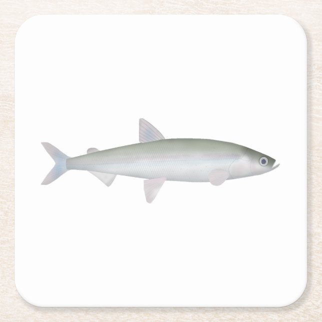 Rainbow Smelt Underlägg Papper Kvadrat (Framsidan)