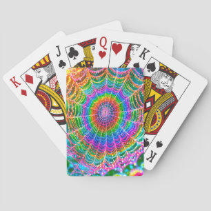 Rainbow Spindelnät Casinokort