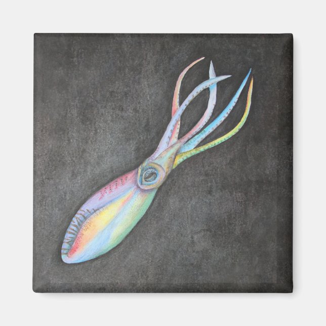 Rainbow Squid Magnet (Framsidan)