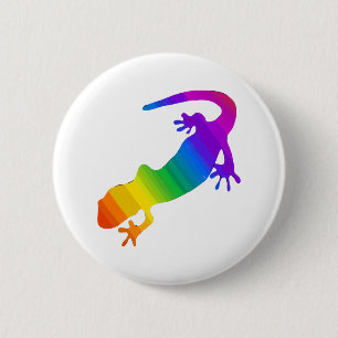 Rainbow Stripe Salamander Knapp