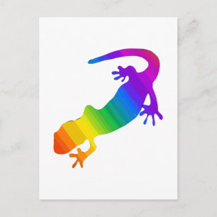 Rainbow Stripe Salamander Vykort