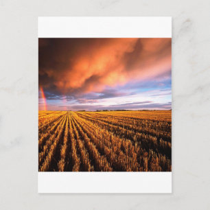 Rainbow Stubble Fält Saskatchewan Kanada Vykort