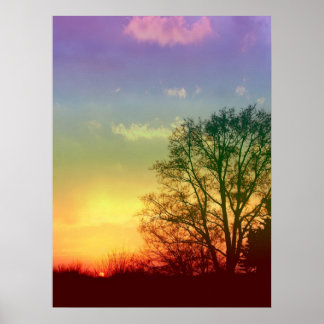 Rainbow Sunset Poster
