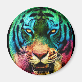 Rainbow Tiger Magnet