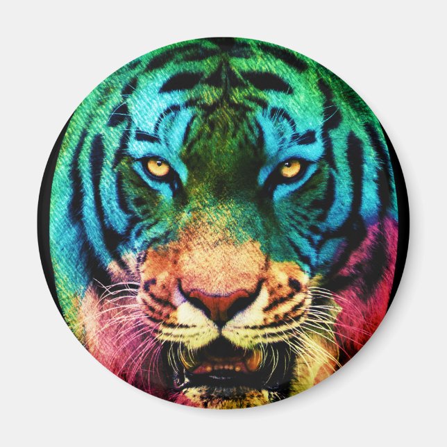 Rainbow Tiger Magnet (Framsidan)