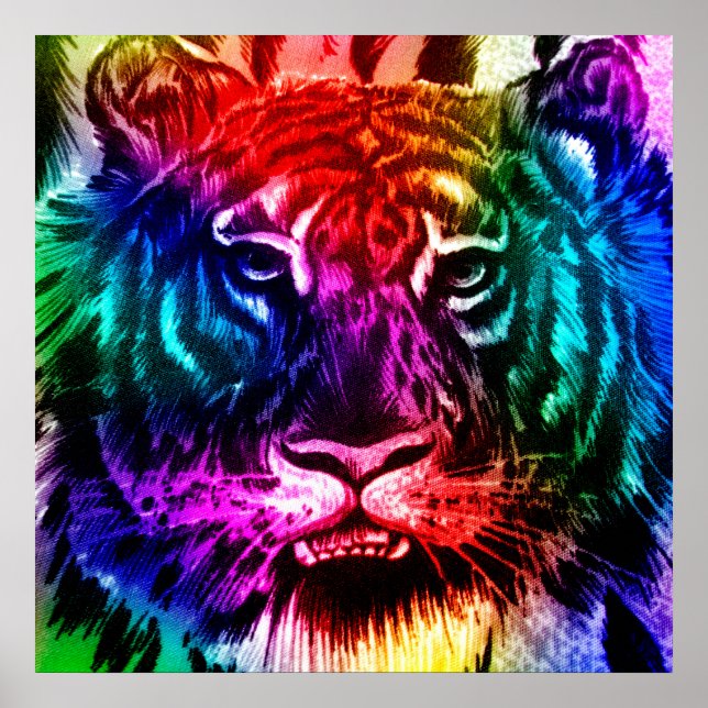 Rainbow Tiger Poster (Framsidan)