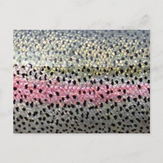 Rainbow Trout by PatternWear© Vykort
