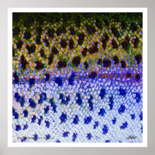 Rainbow Trout FFF Poster