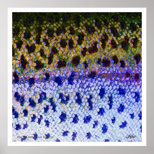 Rainbow Trout FFF Poster (Framsidan)