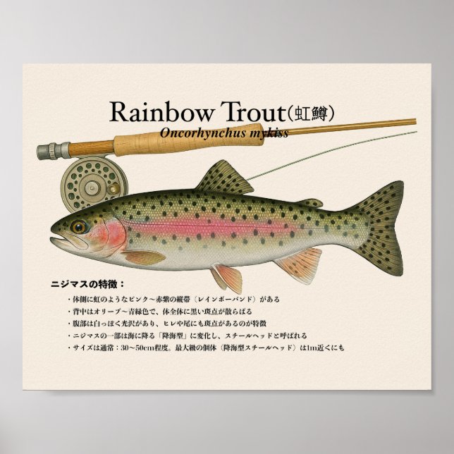 Rainbow Trout – japanese Art Print Poster (Framsidan)