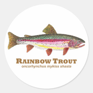 Rainbow Trout Latin Runt Klistermärke