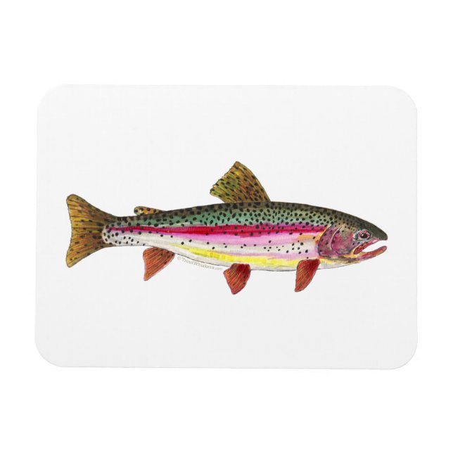 Rainbow Trout Magnet (Horisontell)