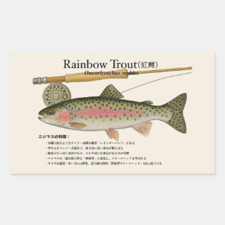 Rainbow Trout (Oncorhynchus mykiss) – Fish Illust Rektangulärt Klistermärke