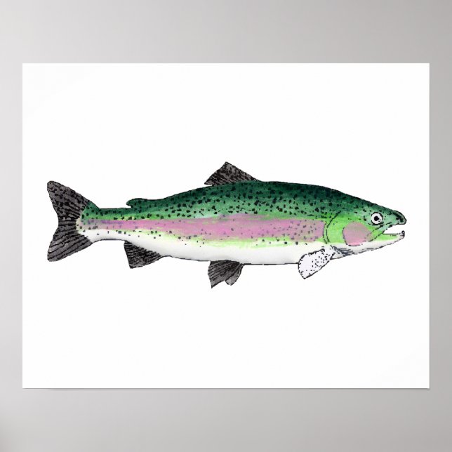 Rainbow Trout Poster (Framsidan)