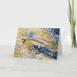 Rainbow Trout - Tack Kort