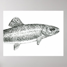 Rainbow Trout Teckning Poster