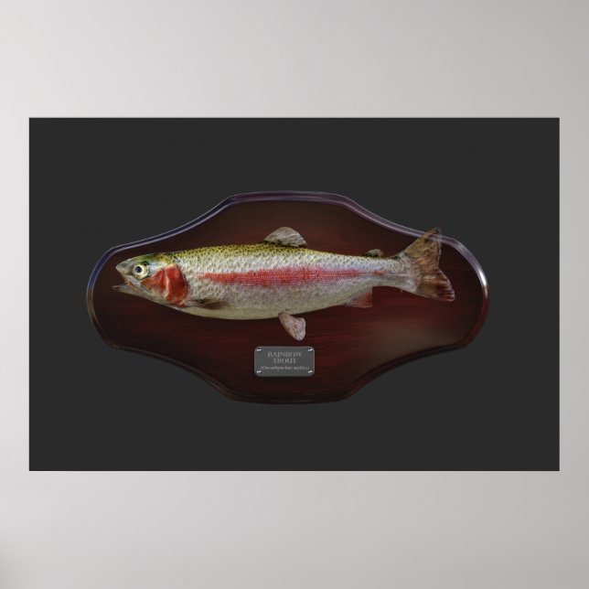 Rainbow Trout Visning Plaque Poster (Framsidan)
