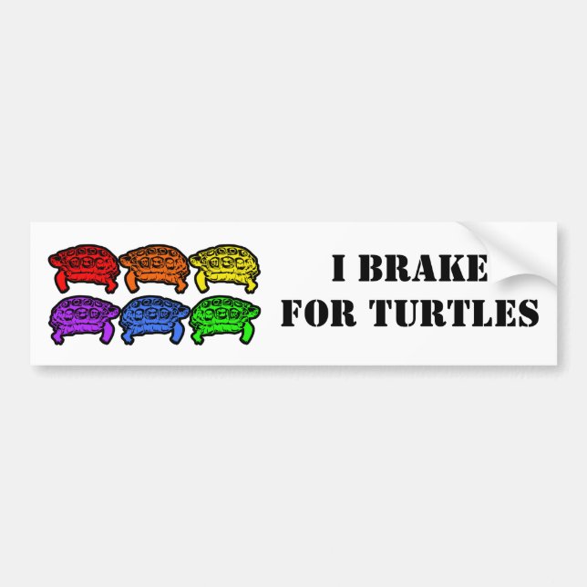 Rainbow Turtles Bildekal (Framsidan)