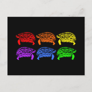 Rainbow Turtles Vykort