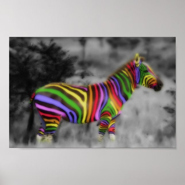 Rainbow Zebra Poster (Framsidan)