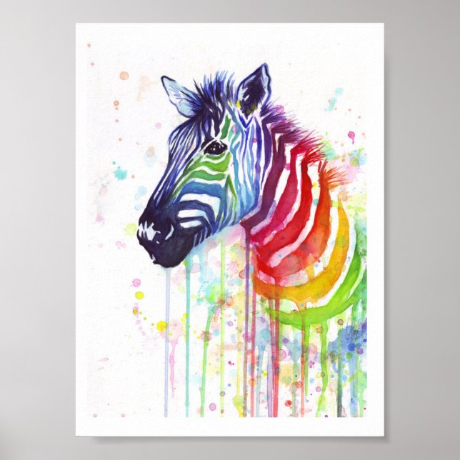 Rainbow Zebra Poster (Framsidan)