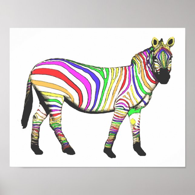 Rainbow Zebra Poster (Framsidan)