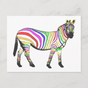 Rainbow Zebra Vykort
