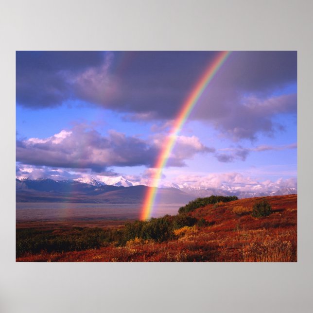 Rainbow's Beauty Poster (Framsidan)