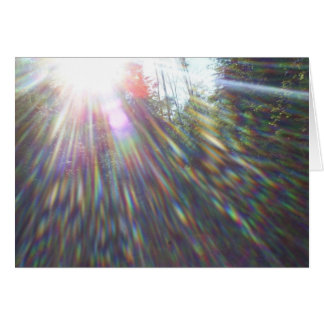 Rainbows i Träd Hälsningskort