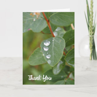 Raindrops and Green Leaves Folded Thank You Card Tack Kort