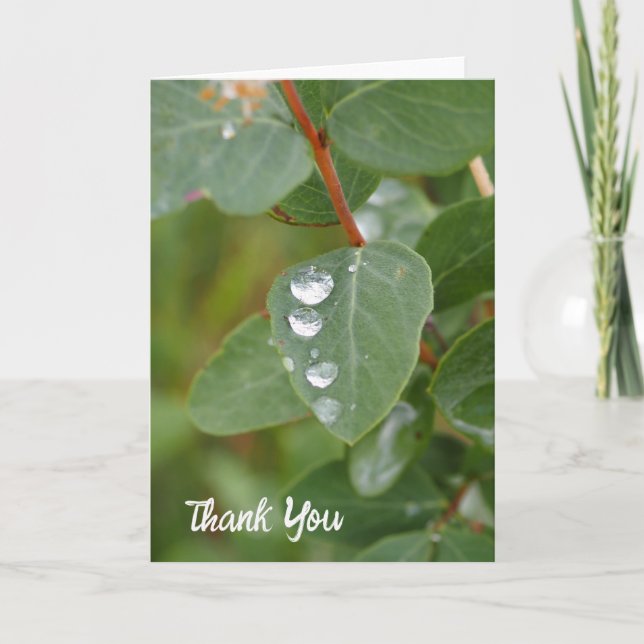 Raindrops and Green Leaves Folded Thank You Card Tack Kort (Framsida)
