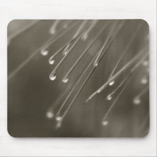 Raindrops Musmatta
