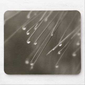 Raindrops Musmatta
