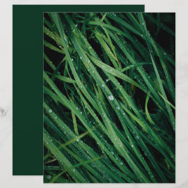 Raindrops on grass scrapbook paper