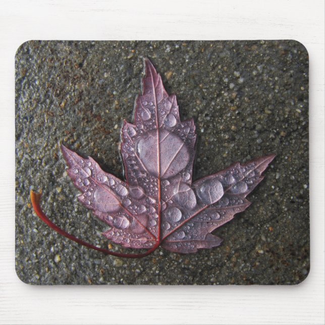 Raindrops på löv musmatta (Framsidan)