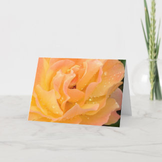 Raindrops på ro förbigår kortet kort