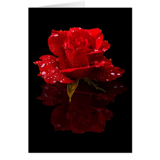 RAINDROPS PÅ STEG HÄLSNINGSKORT (Framsidan)