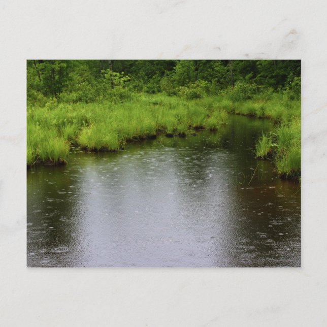 Raindropssommar 2016 vykort (Framsida)