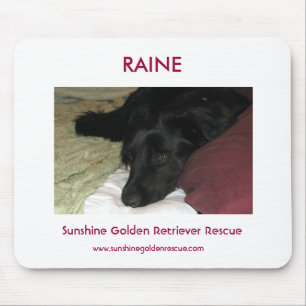 Raine - SunshineGolden Retrieverrädding Musmatta