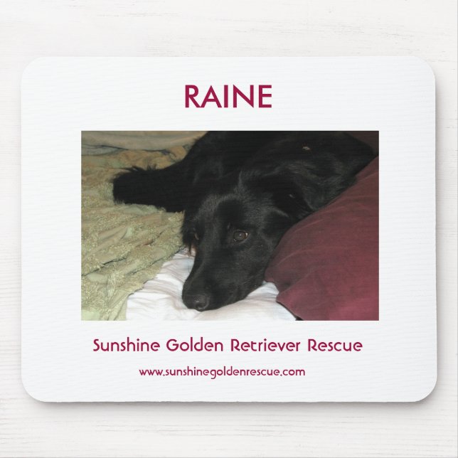 Raine - SunshineGolden Retrieverrädding Musmatta (Framsidan)