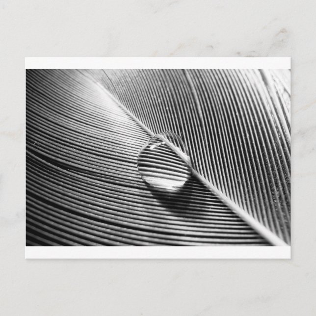 Rainfall på Löv Vykort (Framsida)