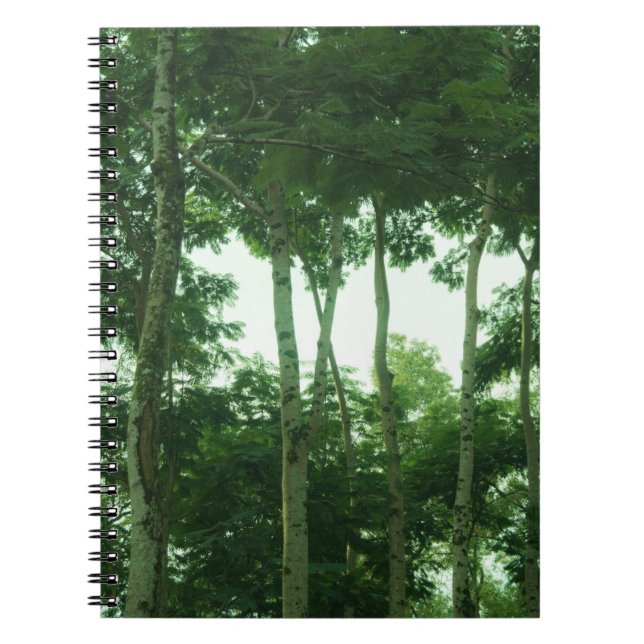 Rainforest Anteckningsbok (Framsidan)
