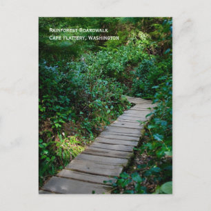 Rainforest Boardpromenavykort Vykort