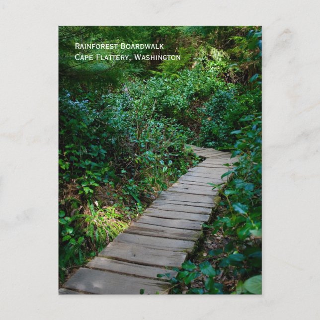 Rainforest Boardpromenavykort Vykort (Framsida)