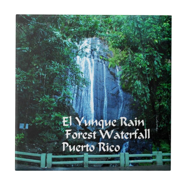 Rainforest för El Yunique Kakelplatta (Framsidan)