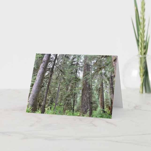 Rainforest Greeting Card Kort (Framsida)
