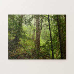 Rainforest in Olympic National Park Photo Pussel