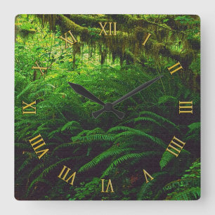 Rainforest Jungle Nature-älskare Wall Clocks Fyrkantig Klocka