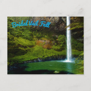 Rainforest Jungle Waterfall Vykort